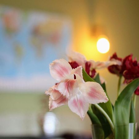 Bed And Breakfast De Grote Byvanck Westervoort Екстериор снимка